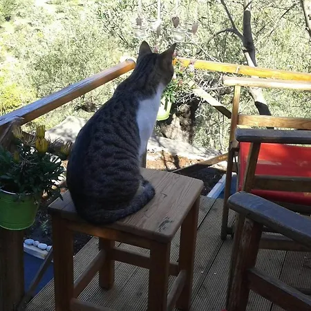 Impeccable 1-bed In Megali Mantineia Καλαμάτα